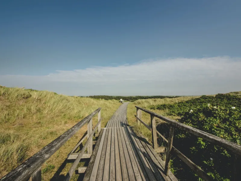 Country path