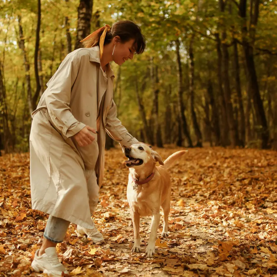 Woman and dog in leafy woods