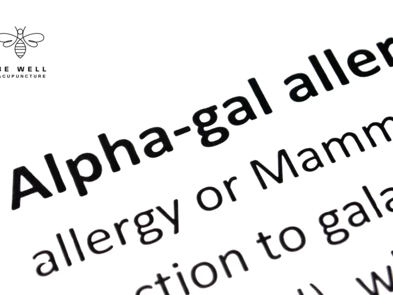 Alpha Gal text definition image